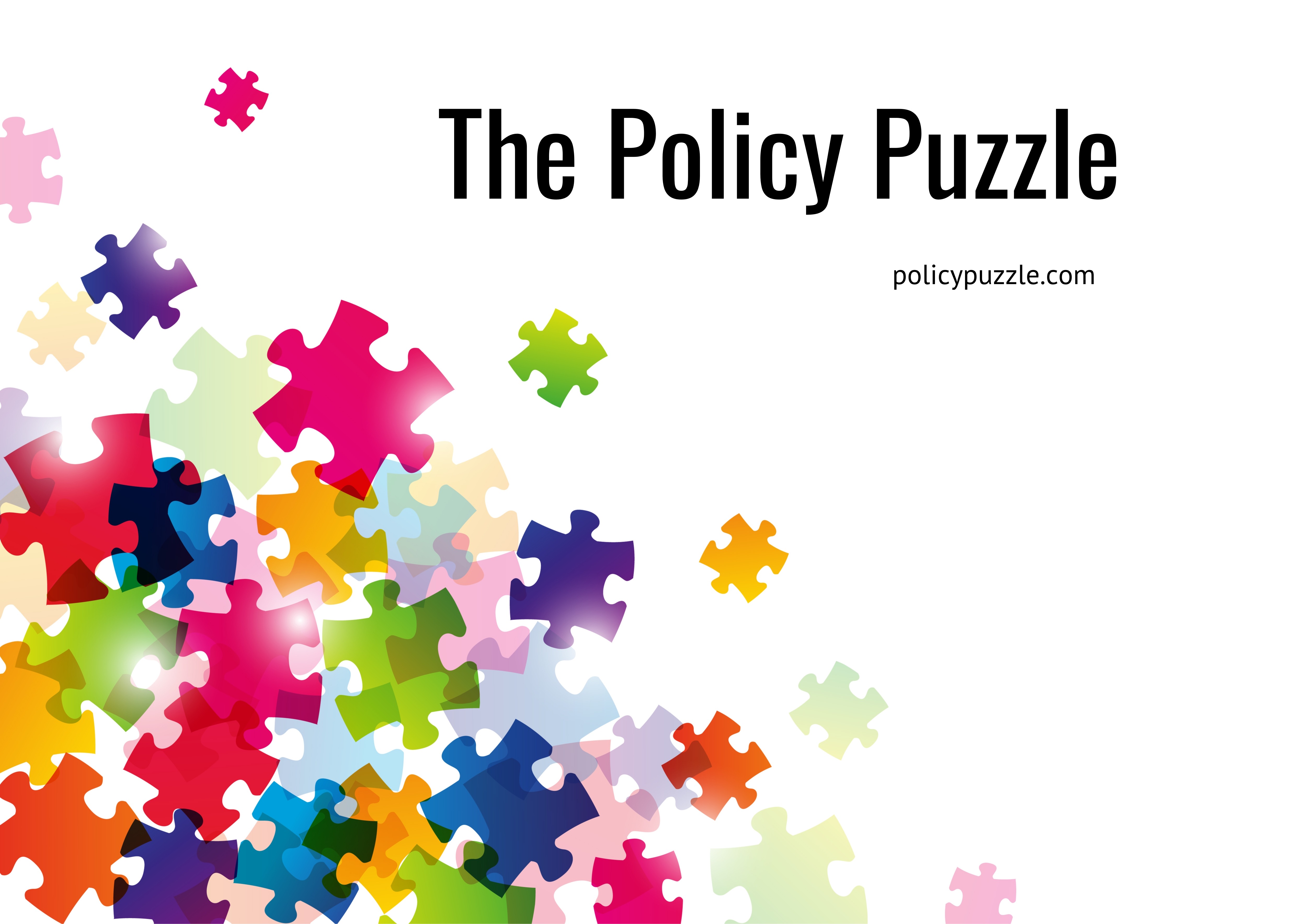 Policy Puzzle